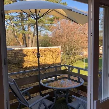 Muschelfeld Kieker 1